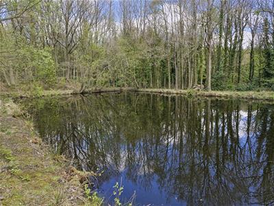 Picture 4